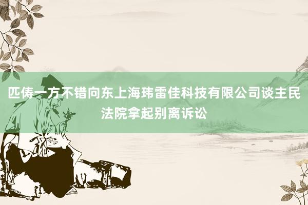 匹俦一方不错向东上海玮雷佳科技有限公司谈主民法院拿起别离诉讼