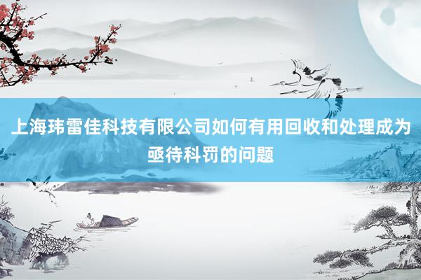 上海玮雷佳科技有限公司如何有用回收和处理成为亟待科罚的问题